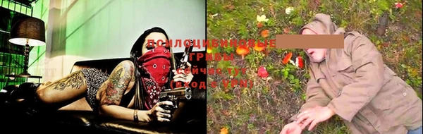 эйфоретик Аркадак