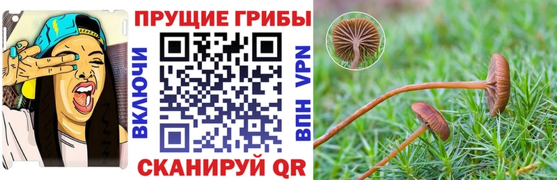 Галлюциногенные грибы мухоморы Павловск